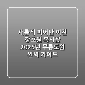 새롭게 피어난 이천 장호원 복사꽃: 2025년 무릉도원 완벽 가이드