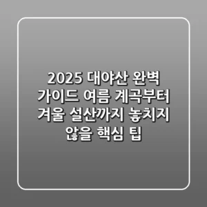 2025 대야산 완벽 가이드: 여름 계곡부터 겨울 설산까지, 놓치지 않을 핵심 팁