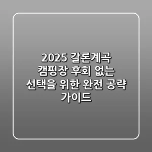 2025 갈론계곡 캠핑장, 후회 없는 선택을 위한 완전 공략 가이드