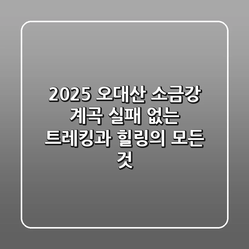 2025 오대산 소금강 계곡: 실패 없는 트레킹과 힐링의 모든 것