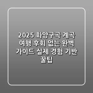 2025 화양구곡 계곡 여행, 후회 없는 완벽 가이드 (실제 경험 기반 꿀팁)