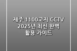 제주 1100고지 CCTV 2025년 최신 완벽 활용 가이드