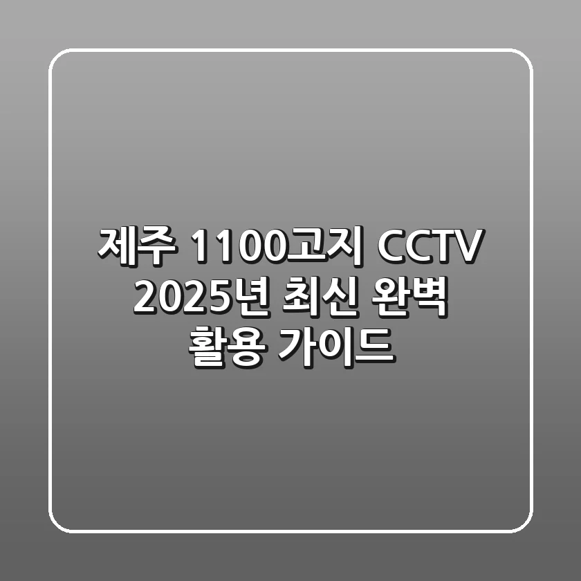제주 1100고지 CCTV 2025년 최신 완벽 활용 가이드