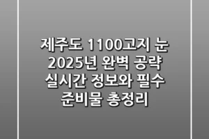 제주도 1100고지 눈, 2025년 완벽 공략! 실시간 정보와 필수 준비물 총정리