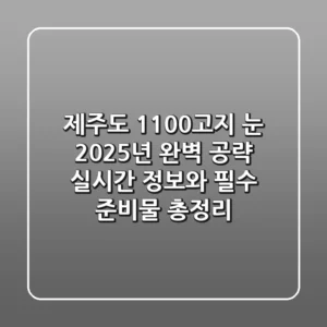 제주도 1100고지 눈, 2025년 완벽 공략! 실시간 정보와 필수 준비물 총정리