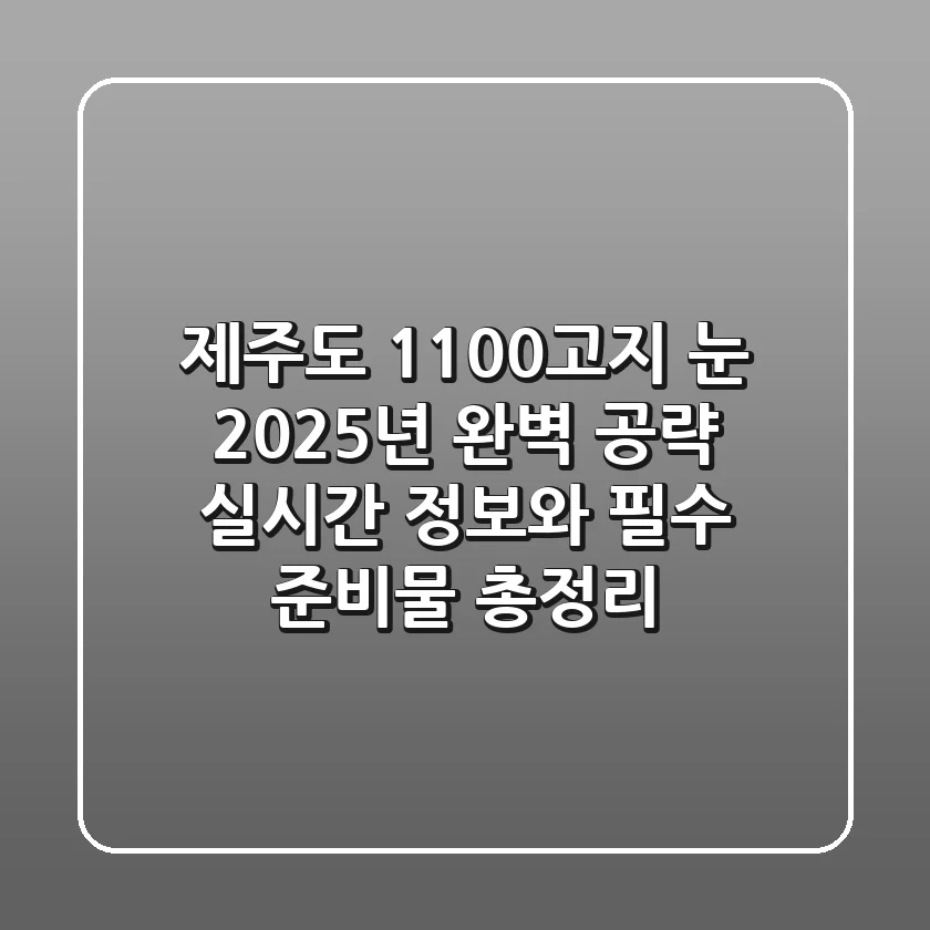 제주도 1100고지 눈, 2025년 완벽 공략! 실시간 정보와 필수 준비물 총정리