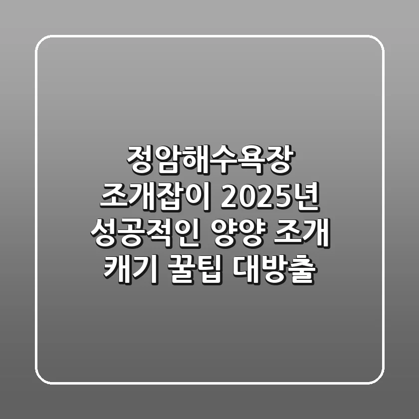 정암해수욕장 조개잡이: 2025년 성공적인 양양 조개 캐기 꿀팁 대방출!