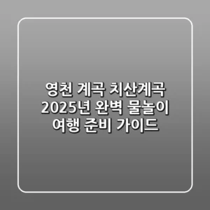 영천 계곡 치산계곡, 2025년 완벽 물놀이 여행 준비 가이드