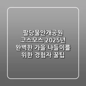 팔당물안개공원 코스모스: 2025년 완벽한 가을 나들이를 위한 경험자 꿀팁