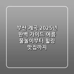 부산 계곡 2025년 완벽 가이드: 여름 물놀이부터 힐링 맛집까지