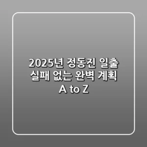 2025년 정동진 일출, 실패 없는 완벽 계획 A to Z