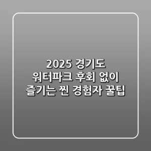 2025 경기도 워터파크, 후회 없이 즐기는 찐 경험자 꿀팁!