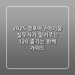 2025 경포아쿠아리움: 실무자가 알려주는 120% 즐기는 완벽 가이드!