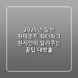 2025년 일산 원마운트 워터파크, 현지인이 알려주는 꿀팁 대방출!