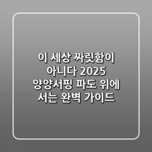 이 세상 짜릿함이 아니다! 2025 양양서핑, 파도 위에 서는 완벽 가이드