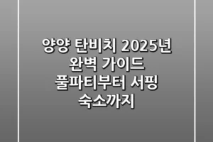 양양 탄비치, 2025년 완벽 가이드: 풀파티부터 서핑, 숙소까지!