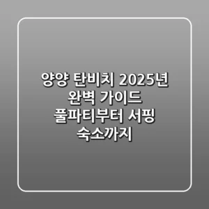 양양 탄비치, 2025년 완벽 가이드: 풀파티부터 서핑, 숙소까지!