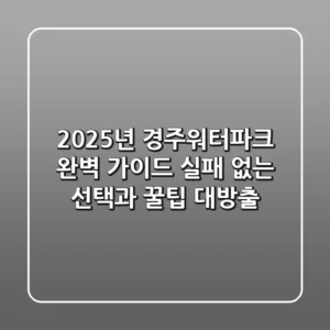 2025년 경주워터파크 완벽 가이드: 실패 없는 선택과 꿀팁 대방출!
