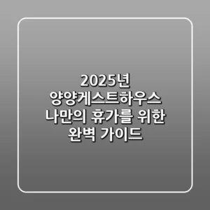 2025년 양양게스트하우스, 나만의 휴가를 위한 완벽 가이드