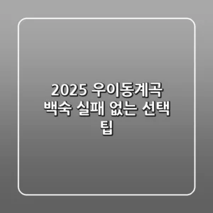 2025 우이동계곡 백숙, 실패 없는 선택 팁!