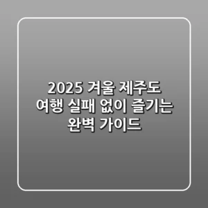 2025 겨울 제주도 여행, 실패 없이 즐기는 완벽 가이드!