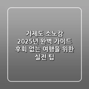 거제도 소노캄 2025년 완벽 가이드: 후회 없는 여행을 위한 실전 팁