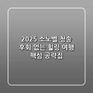 2025 소노벨 청송, 후회 없는 힐링 여행 핵심 공략집