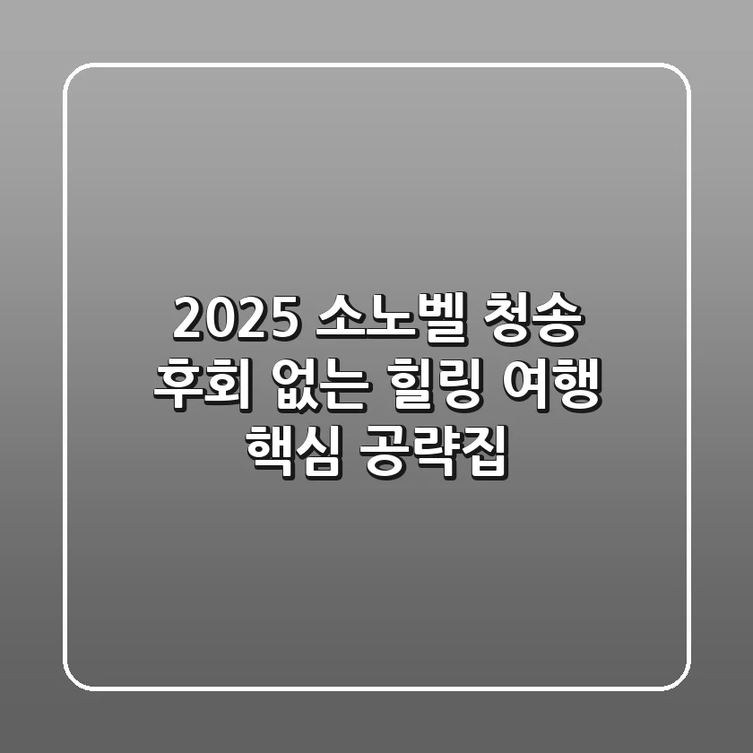 2025 소노벨 청송, 후회 없는 힐링 여행 핵심 공략집
