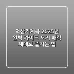 덕산기계곡 2025년 완벽 가이드: 오지 매력 제대로 즐기는 법