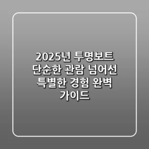 2025년 투명보트, 단순한 관람 넘어선 특별한 경험 완벽 가이드