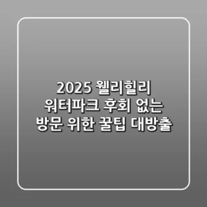 2025 웰리힐리 워터파크, 후회 없는 방문 위한 꿀팁 대방출!