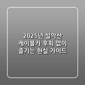 2025년 설악산 케이블카, 후회 없이 즐기는 현실 가이드