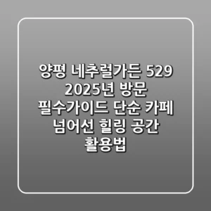 양평 네추럴가든 529, 2025년 방문 필수가이드: 단순 카페 넘어선 힐링 공간 활용법