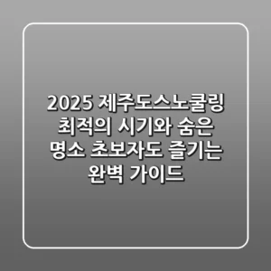 2025 제주도스노쿨링: 최적의 시기와 숨은 명소, 초보자도 즐기는 완벽 가이드