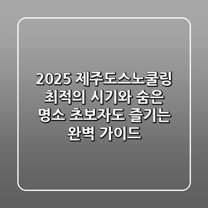 2025 제주도스노쿨링: 최적의 시기와 숨은 명소, 초보자도 즐기는 완벽 가이드