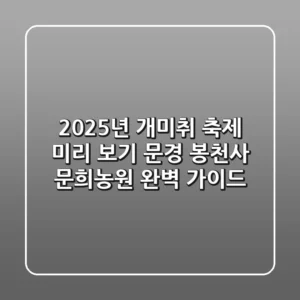 2025년 개미취 축제 미리 보기: 문경 봉천사 & 문희농원 완벽 가이드