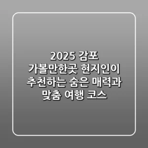 2025 감포 가볼만한곳: 현지인이 추천하는 숨은 매력과 맞춤 여행 코스