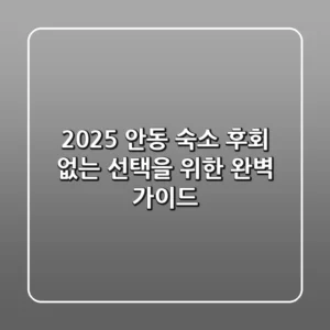 2025 안동 숙소, 후회 없는 선택을 위한 완벽 가이드